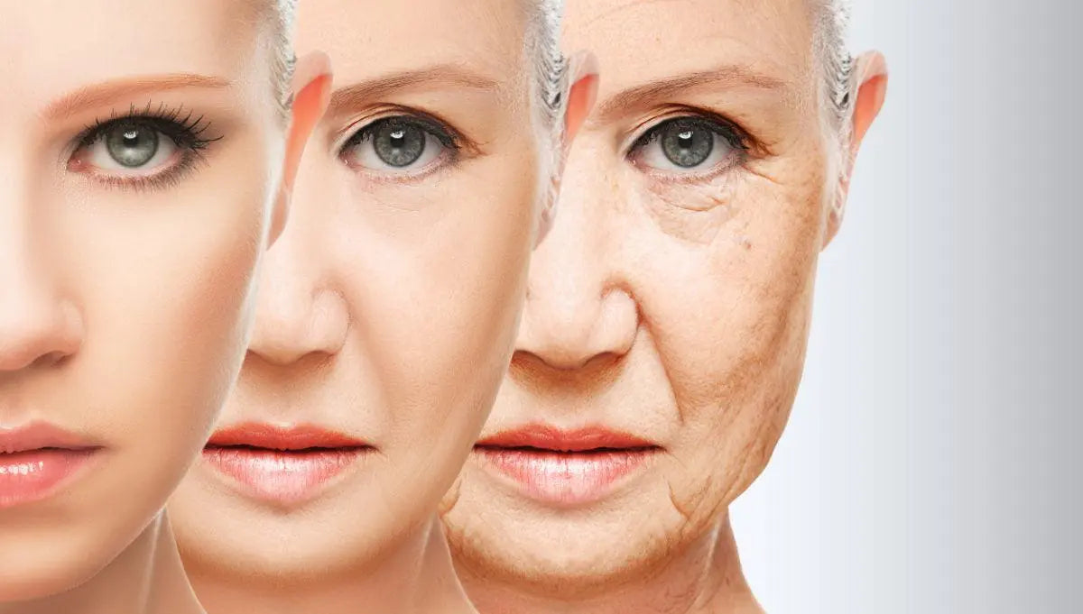 Anti-Ageing-Korean-Skincare-Solutions LA BELLE VIE BOUTIQUE