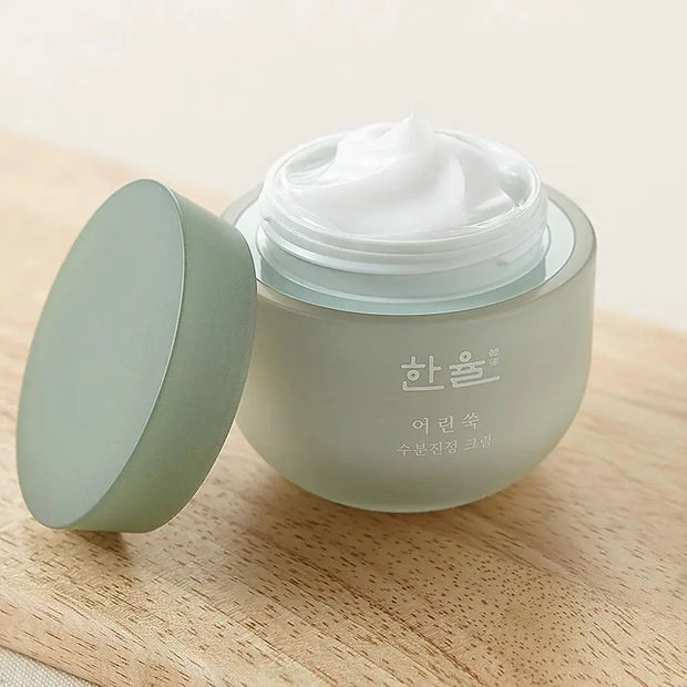 Hanyul-Pure Artemisia Watery Calming Cream 50ml - LABELLEVIEBOUTIQUE