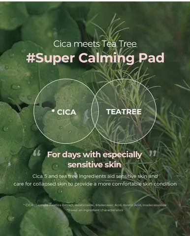 NEOGEN DERMALOGY Calming Cica Tree Pad package and pads.