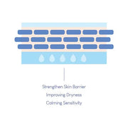 Dermide Cica Barrier Sleeping Pack for glowing skincare