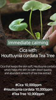 Cica Houttuynia Tea Tree Calming Mask package