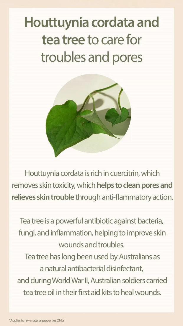 Mary&May Houttuynia Cordata + Tea Tree Cleansing Foam product image